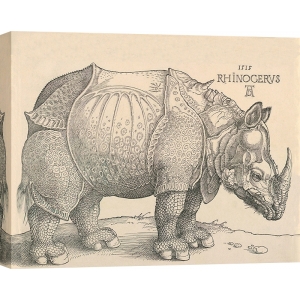 Wall art print, canvas and poster by Durer, Rhinoceros