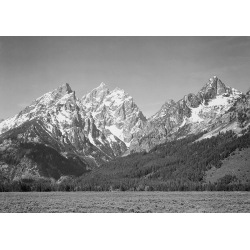 Kunstdruck, fotografie von Ansel Adams, Grassy valley, Grand Teton