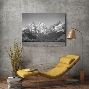 Art Print Ansel Adams, Grassy valley, Grand Teton National Park