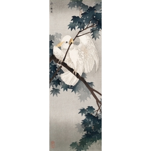 Cuadro japonés, poster y lienzo, Ohara Koson, Papagayo en una rama
