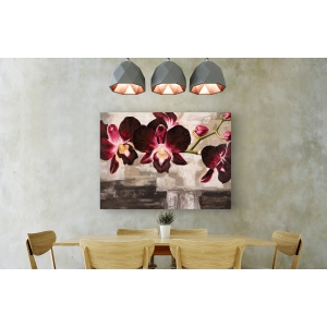 Wall art print and canvas. Shin Mills, Velvet Orchids