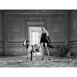 Art print, canvas, poster. Woman with dog in decayed palace, BW