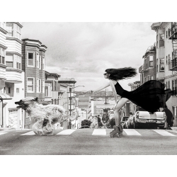 Leinwandbilder und poster Julian Lauren, Skating in San Francisco