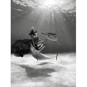 Leinwandbilder und poster Marc Moreau, Tanzen mit Delphinen