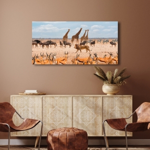 Cuadro en lienzo y poster con león, El Rey de la Sabana, Masai Mara