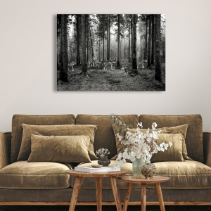 Leinwandbilder und poster, Wölfe im Wald (BW), Pangea Images