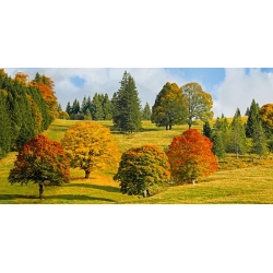 Cuadro en lienzo y poster con paisaje de otoño, Quebec