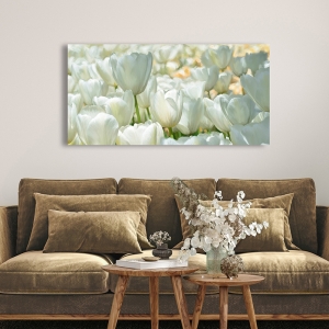 Cuadro, lienzo, poster, Luca Villa, Campo de tulipanes blancos