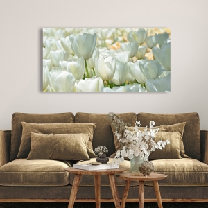 Floral wall art print and canvas. Luca Villa, Field of White Tulips