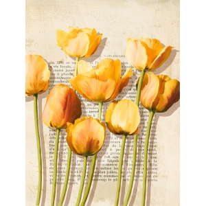 Cuadro flores, lienzo, poster, Luca Villa, Tulipanes vintage