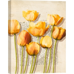 Floral wall art print and canvas. Luca Villa, Vintage tulips