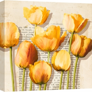 Quadro su tela con fiori, poster. Luca Villa, Tulipani Vintage dettaglio
