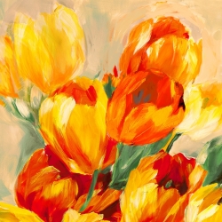Floral wall art print and canvas. Jim Stone, Tulips in the Sun I