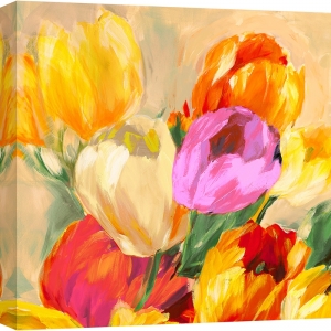 Floral wall art print and canvas. Jim Stone, Colourful tulips I