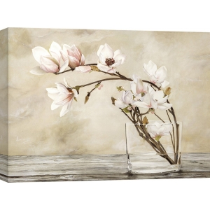 Leinwandbilder mit blumen. Cristina Mavaracchio, Magnolia Flowers