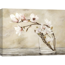 Quadro, stampa su tela. Cristina Mavaracchio, Fiori di magnolia