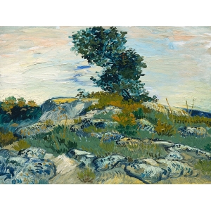 Cuadro en lienzo y poster Vincent van Gogh, Las Rocas