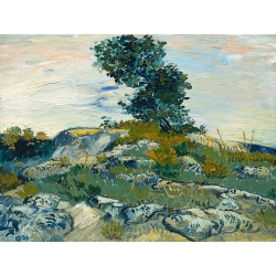 Tableau de Vincent Van Gogh, Les rochers (Rochers avec chêne)