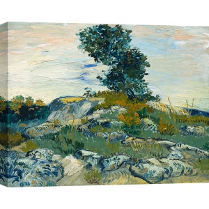 Tableau de Vincent Van Gogh, Les rochers (Rochers avec chêne)