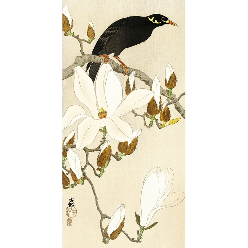 Japanese art print, canvas, poster Ohara Koson, Myna on Magnolia