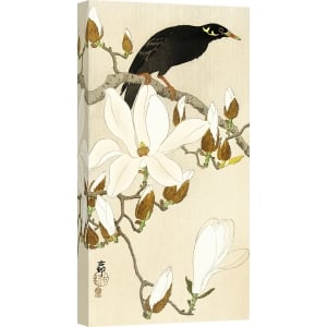 Japanische Kunst Ohara Koson, Myna auf Magnolienzweig