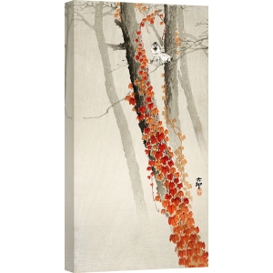 Japanische Kunst Ohara Koson, Roter Efeu, Leinwandbilder