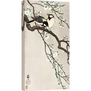 Cuadro japonés en lienzo, Ohara Koson, Tetas en rama del cerezo