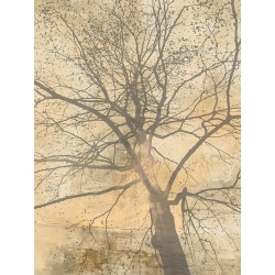 Cuadro moderno en lienzo y poster, A. Aprile, Debajo de mi árbol I