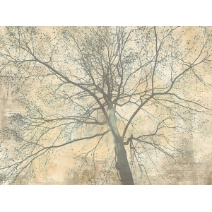 Tableau arbre de Alessio Aprile, Below My Tree II. Toile, affiche