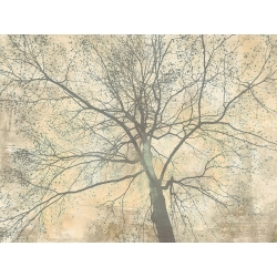 Cuadro moderno en lienzo y poster, A. Aprile, Debajo de mi árbol II