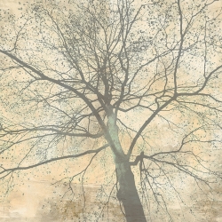 Cuadro en lienzo y poster, A. Aprile, Debajo de mi árbol II detalle
