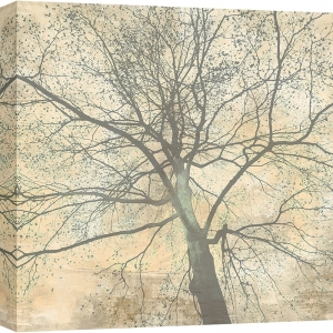 Kunstdruck, Leinwandbilder Below My Tree II (detail) von Alessio Aprile
