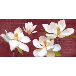Cuadro en lienzo y lámina enmarcada, Burgundy Magnolia, Luca Villa