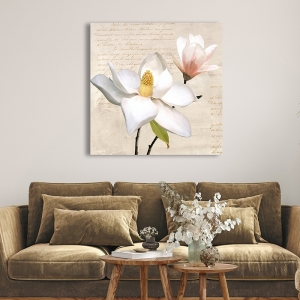 Cuadro en lienzo y lámina enmarcada, Ivory Magnolia I, Luca Villa