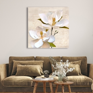 Tableau sur toile, affiche, Magnolia ivoire II de Luca Villa