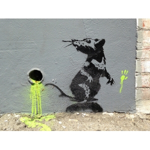 Quadro, poster Banksy, topo, Orange Drive, Los Angeles