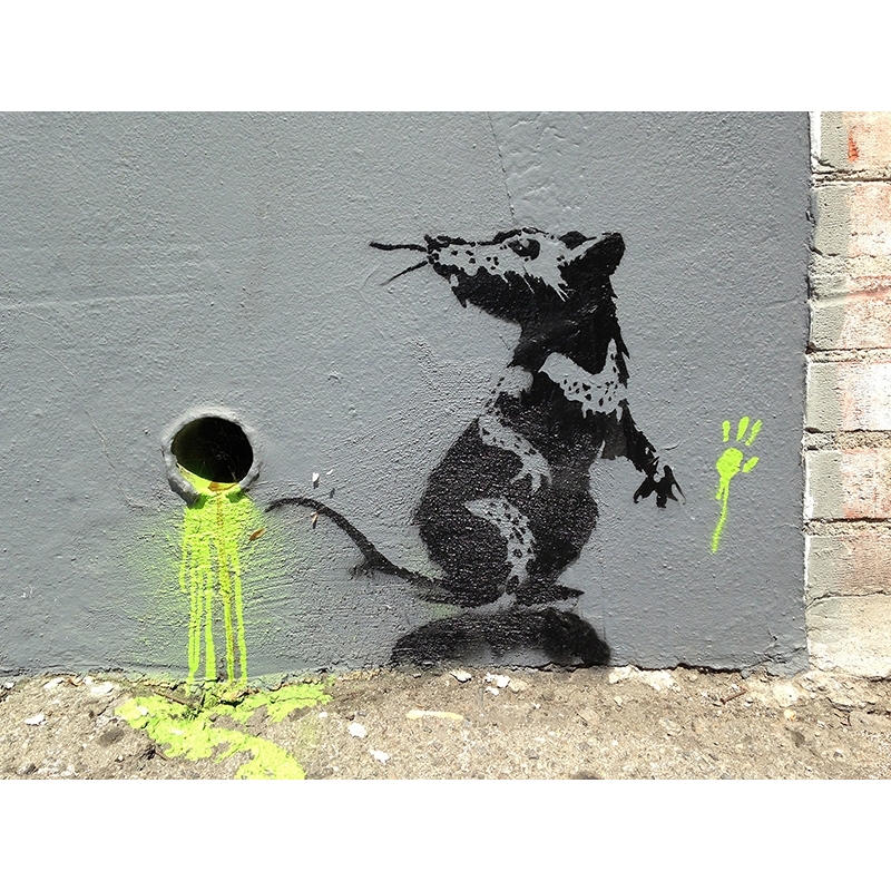 Quadro, poster Banksy, topo, Orange Drive, Los Angeles