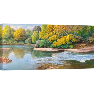 Wall art print and canvas, Creek in the woods by Adriano Galasso