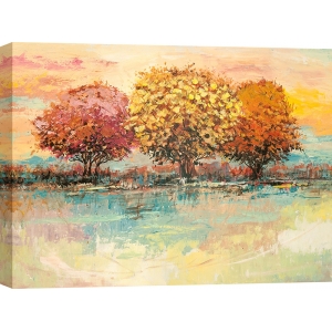 Kunstdruck Morgendlicher Baum auf der Wiese von Luigi Florio