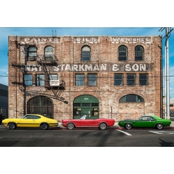 Print with cars, Suburban Landscape with muscle cars