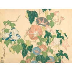 Quadro, stampa giapponese. Hokusai, Fiori del mattino e raganella