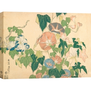 Tableau japonais de Hokusai, Fleurs du matin et grenouille